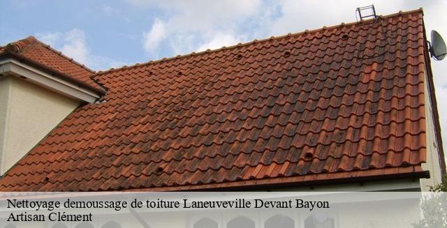 Entreprise Et Demoussage Toiture A Laneuveville Devant Bayon Tel 03 59 28 20 57